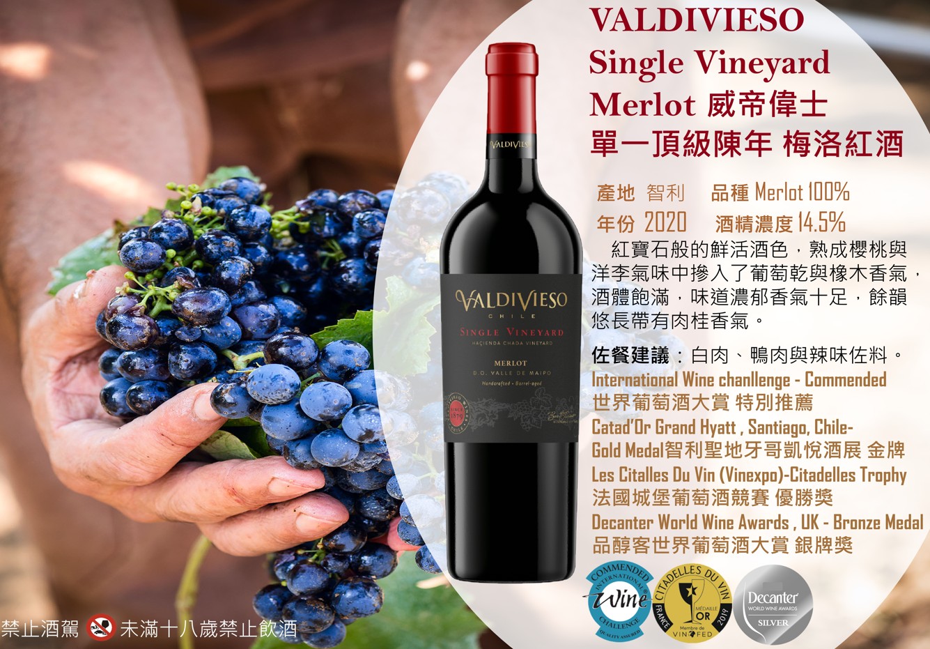 威帝偉士 單一頂級陳年 梅洛紅酒